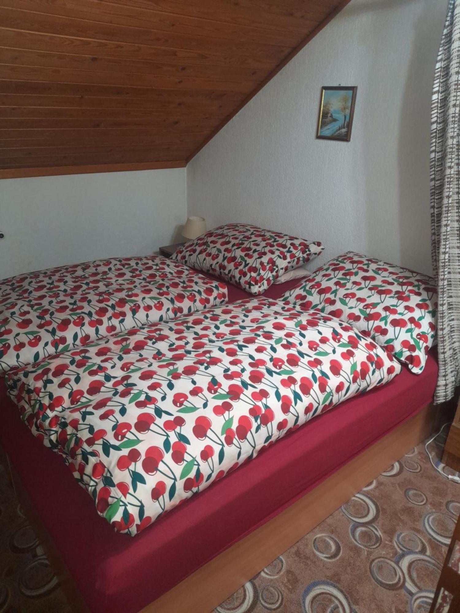 Penzion Krusnohorka Tatrovice Buitenkant foto